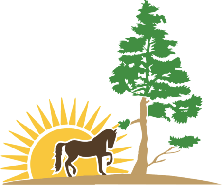 Казачок