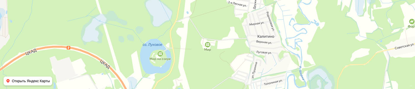 Карта: Мир в лесу