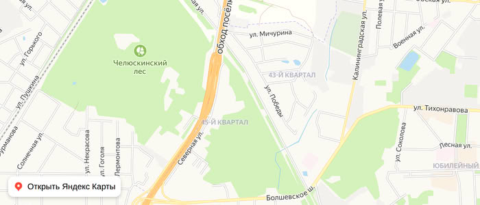Карта: Подлипки