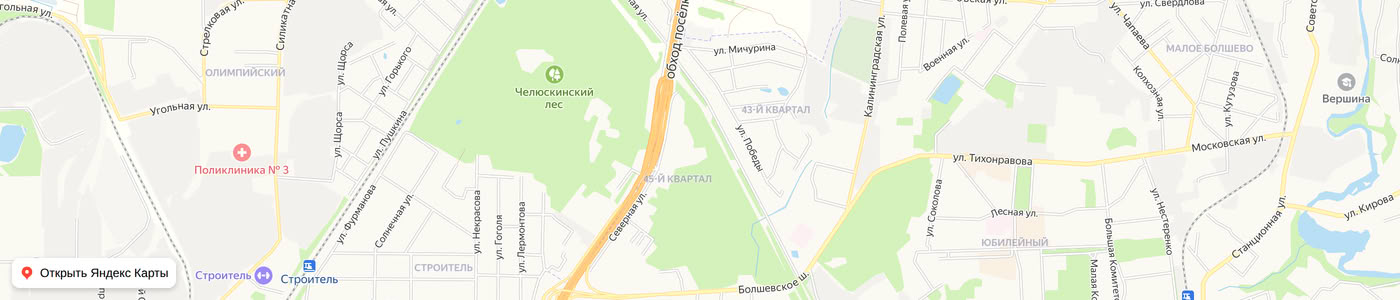 Карта: Подлипки