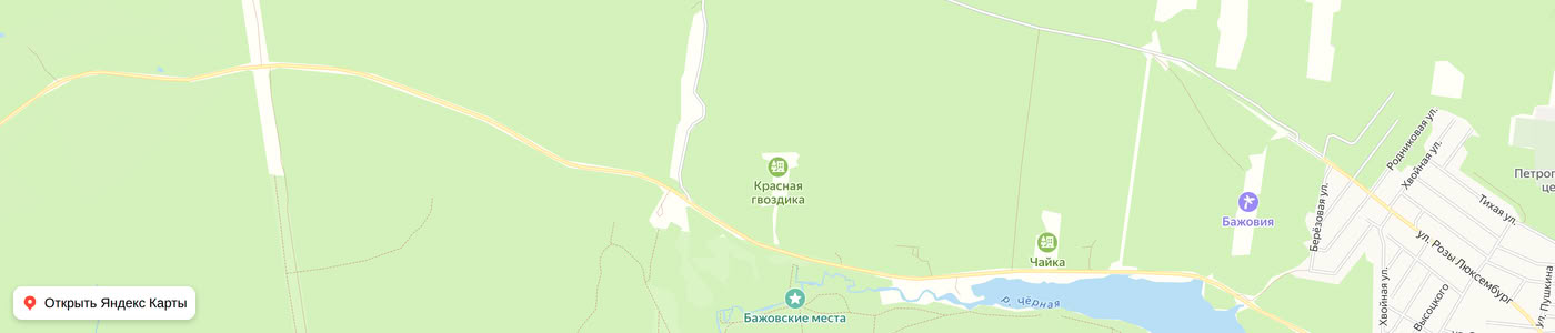 Карта: Красная гвоздика